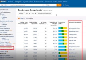 Domnios de la competencia Ahrefs