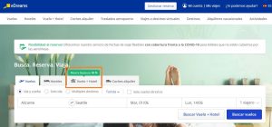 ejemplo-microcopy-buscador-web